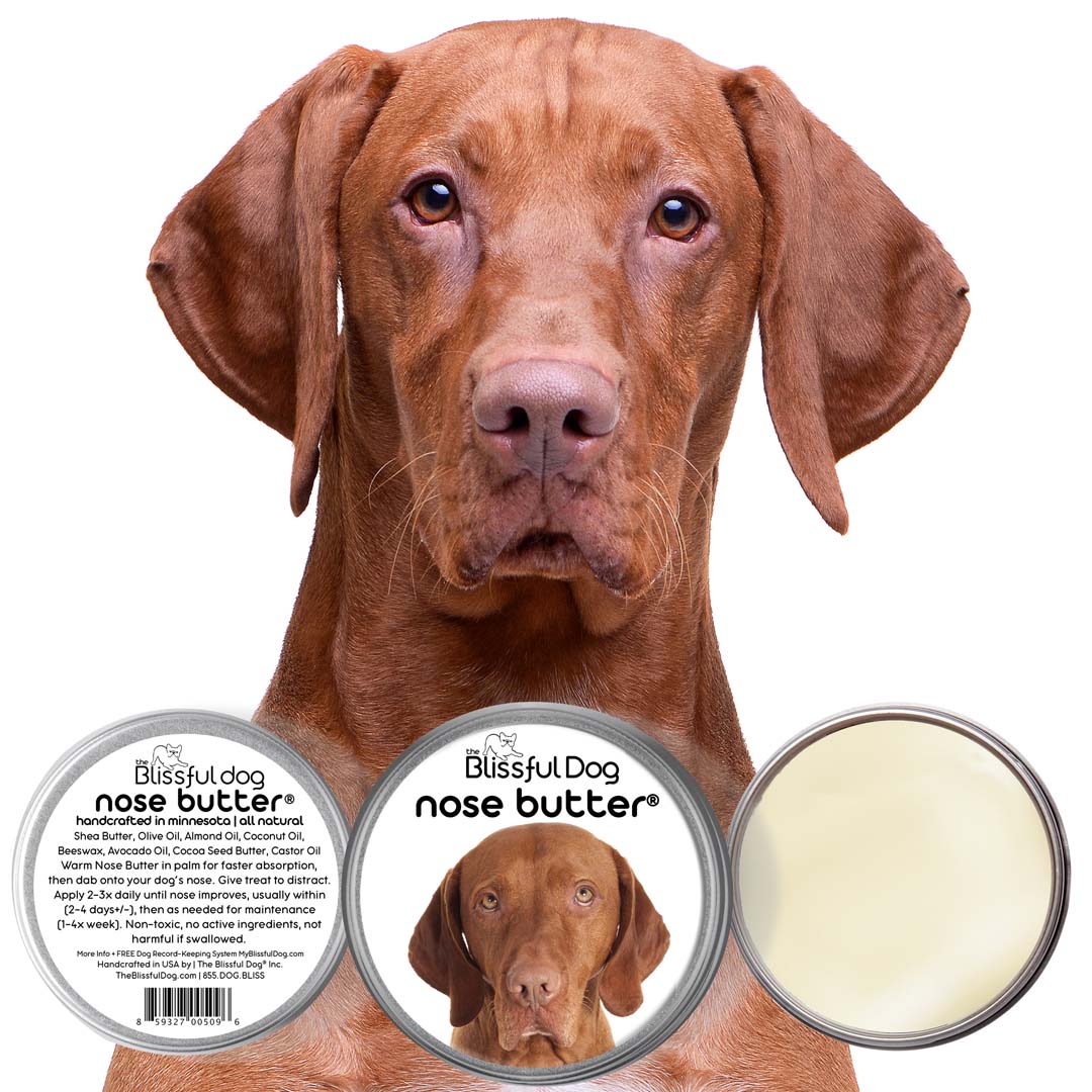 Vizsla Nose is Dry